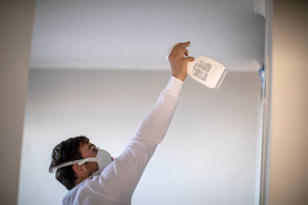 Best Toxic Mold Removal  in Elkhorn, WI