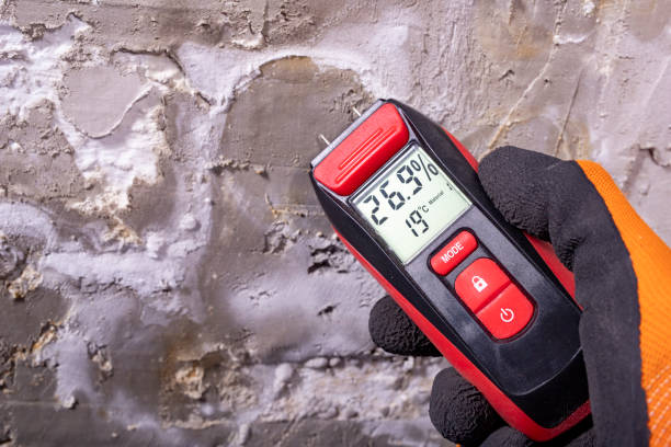 Best Mold Testing  in Elkhorn, WI